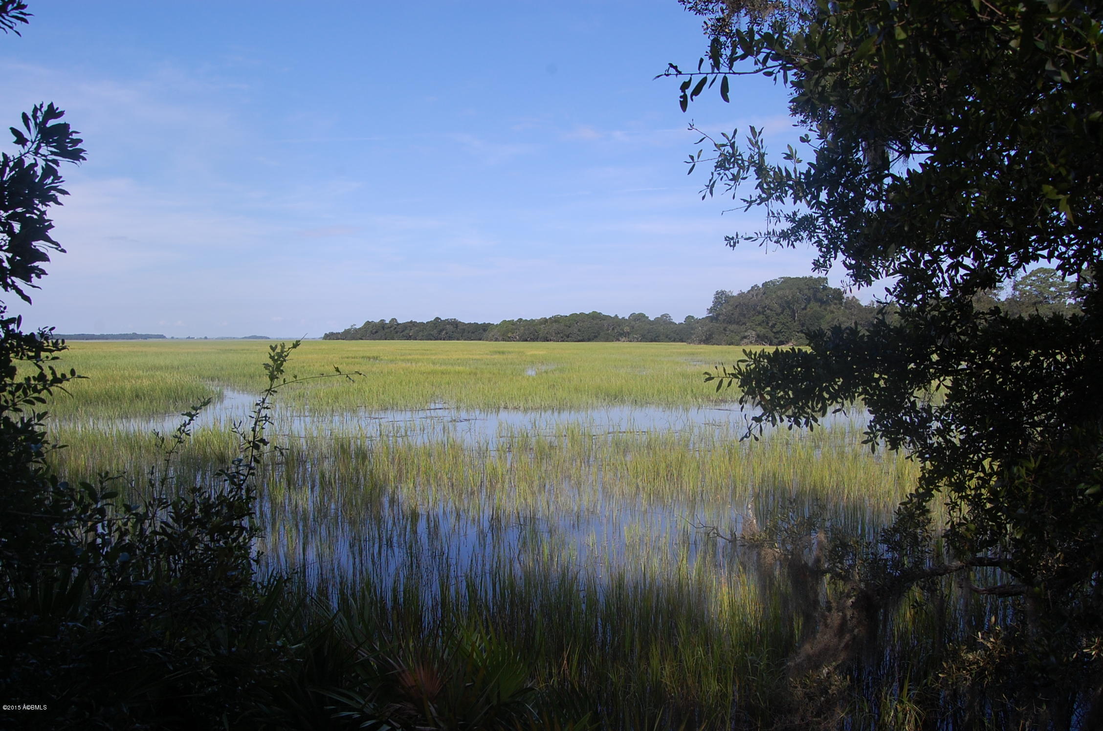 4 Timber Trail photo