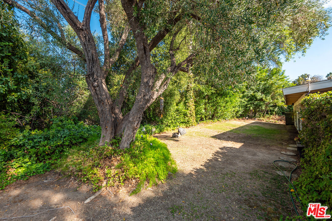 18653 Palomino Dr