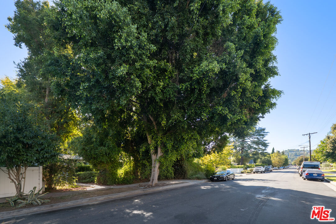 Residential street shaded by a large mature tree, with parked cars along the road.