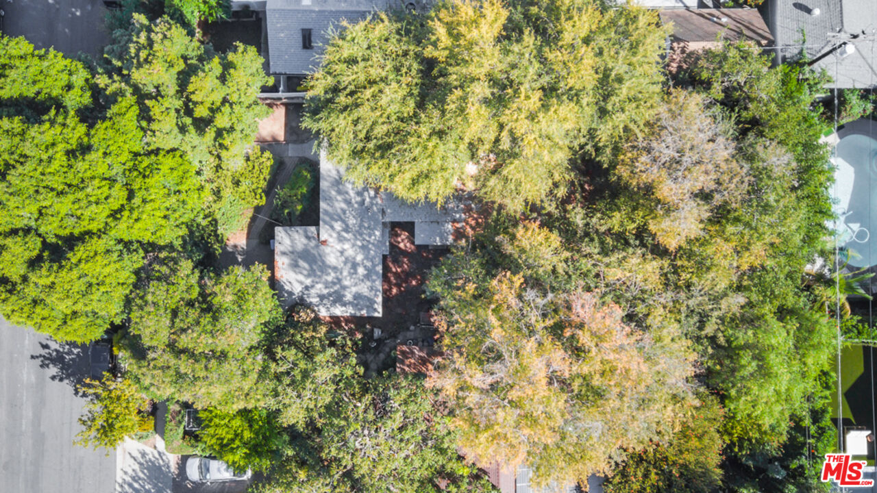 Aerial view of a tree-covered property with part of a swimming pool visible beside the house.