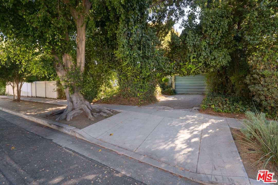 Driveway and garage entrance at 4480 Colbath Ave, shaded by a large tree and ivy.
