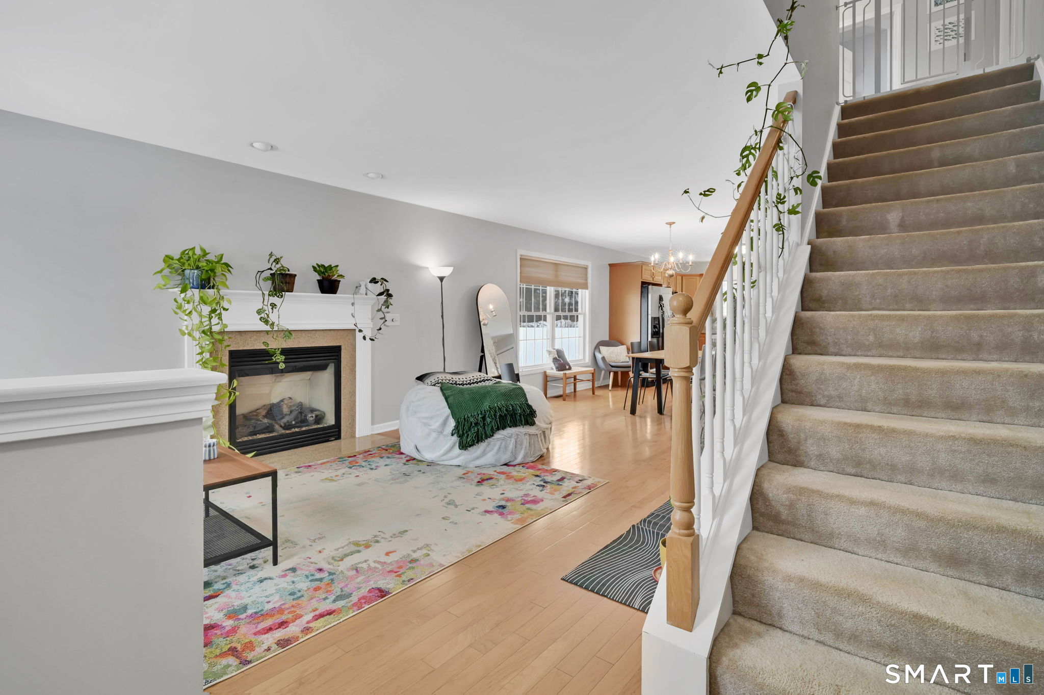 12 Elizabeth Lane 12