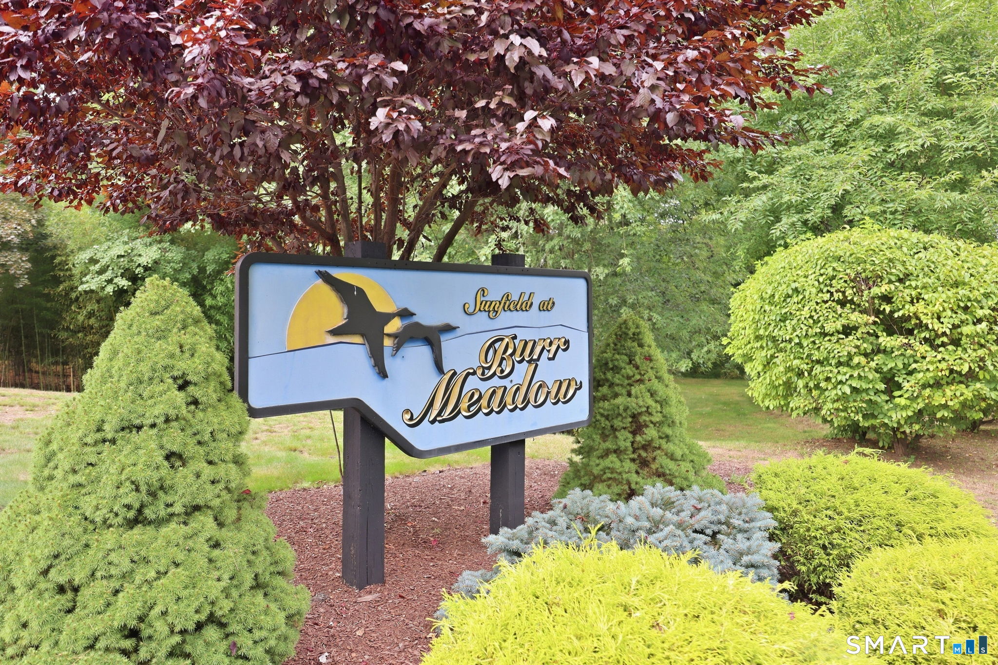 1101 Sunfield Drive Unit: 1101