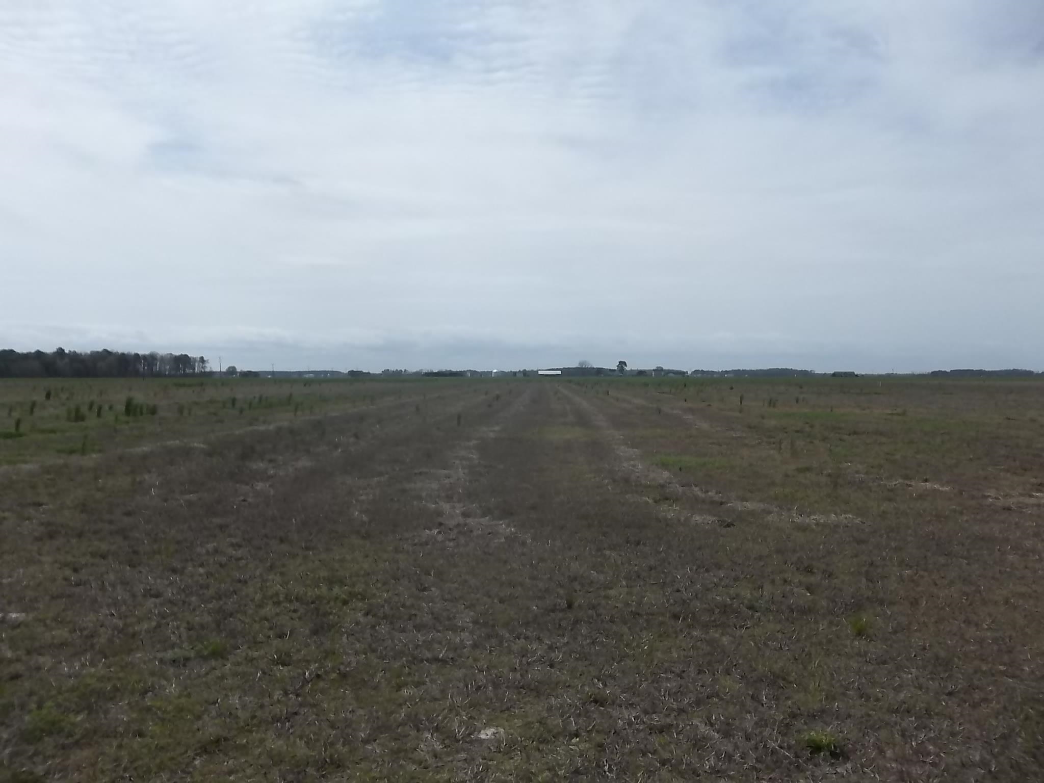 1140 Griff Lane Lot #8
