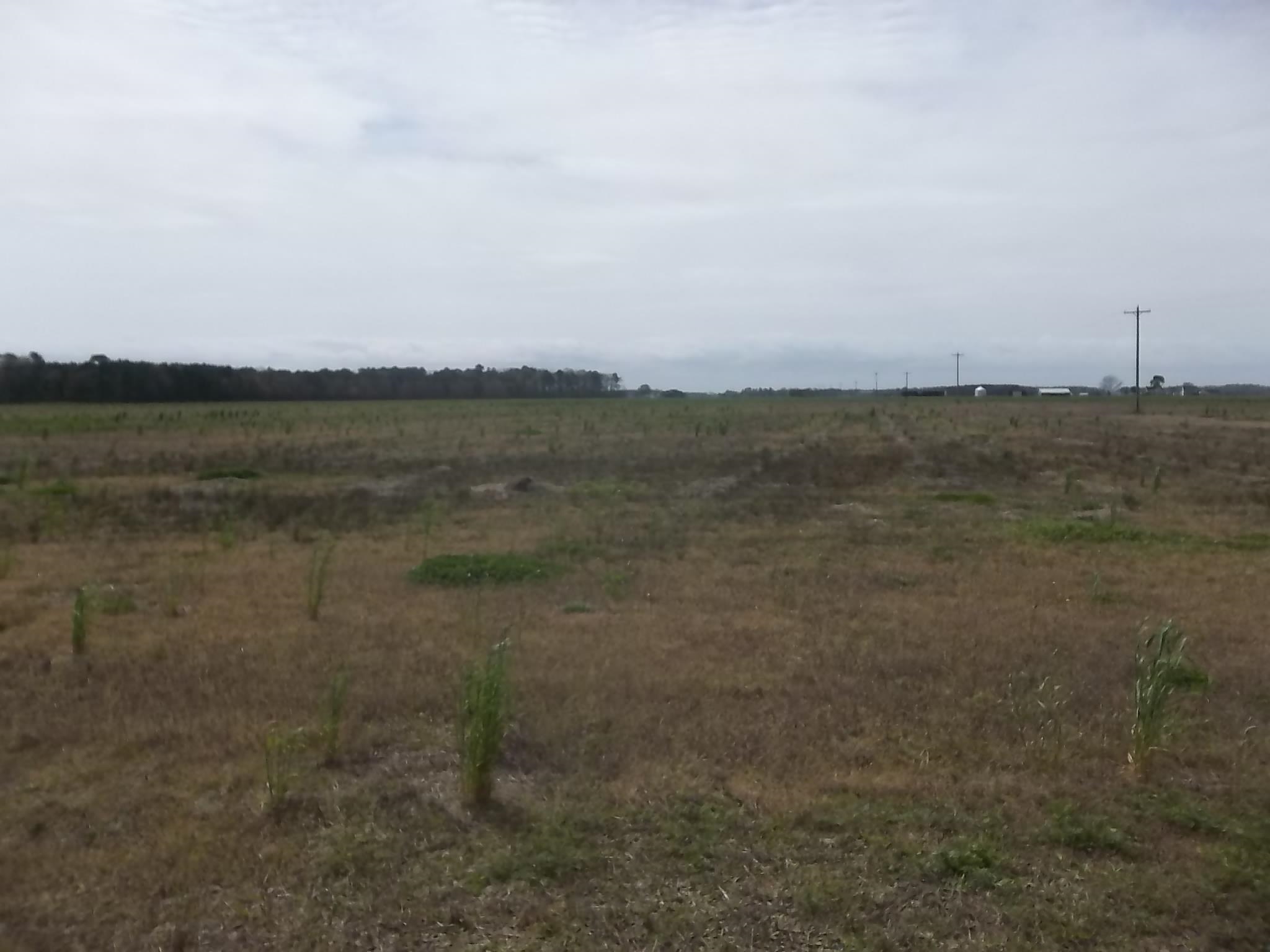 1120 Griff Lane Lot #7