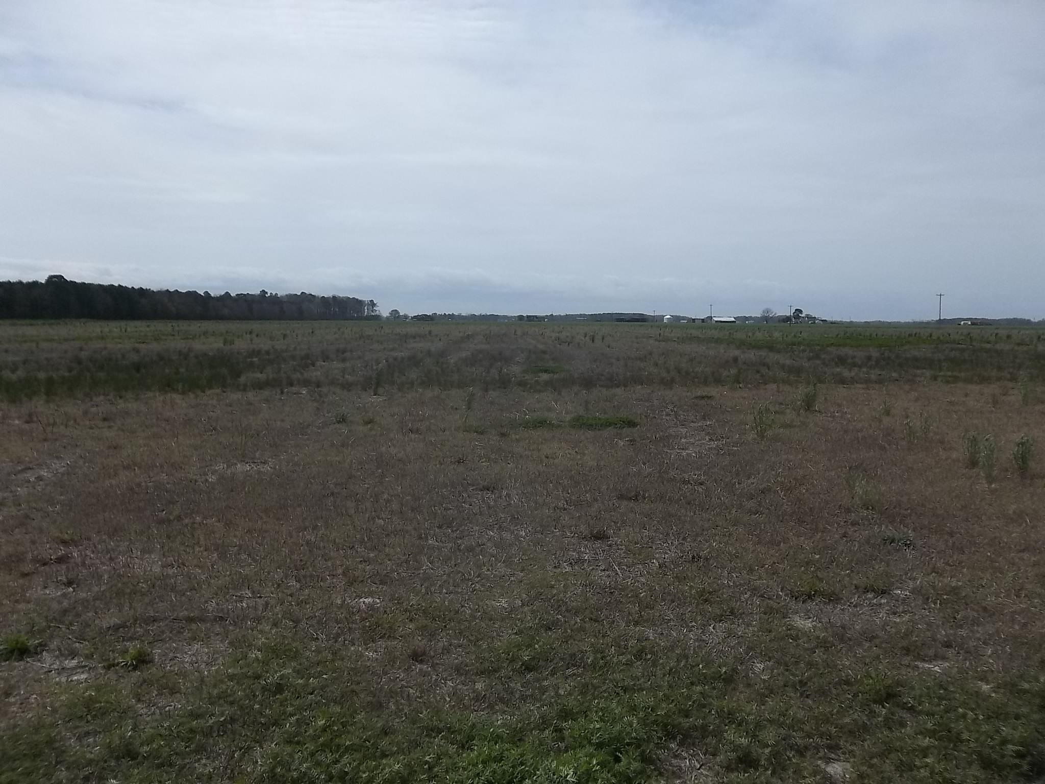1100 Griff Lane Lot# 6