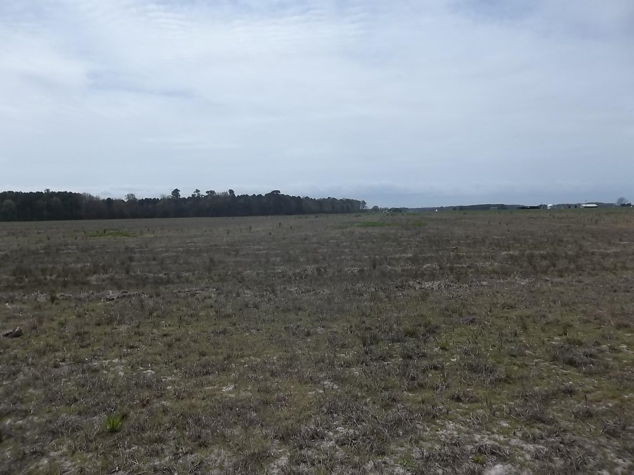 1080 Griff Lane Lot #5