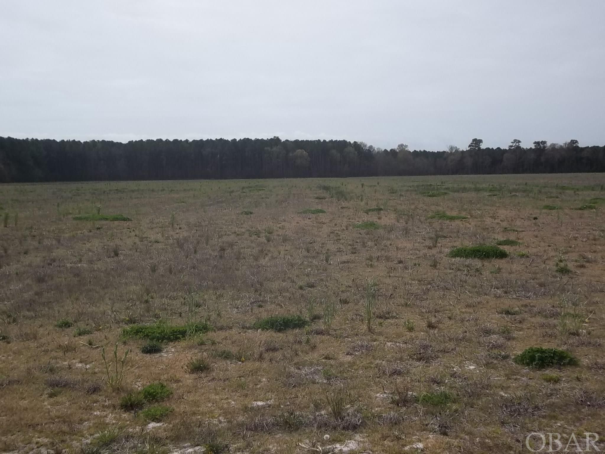 1010 Griff Lane Lot #2