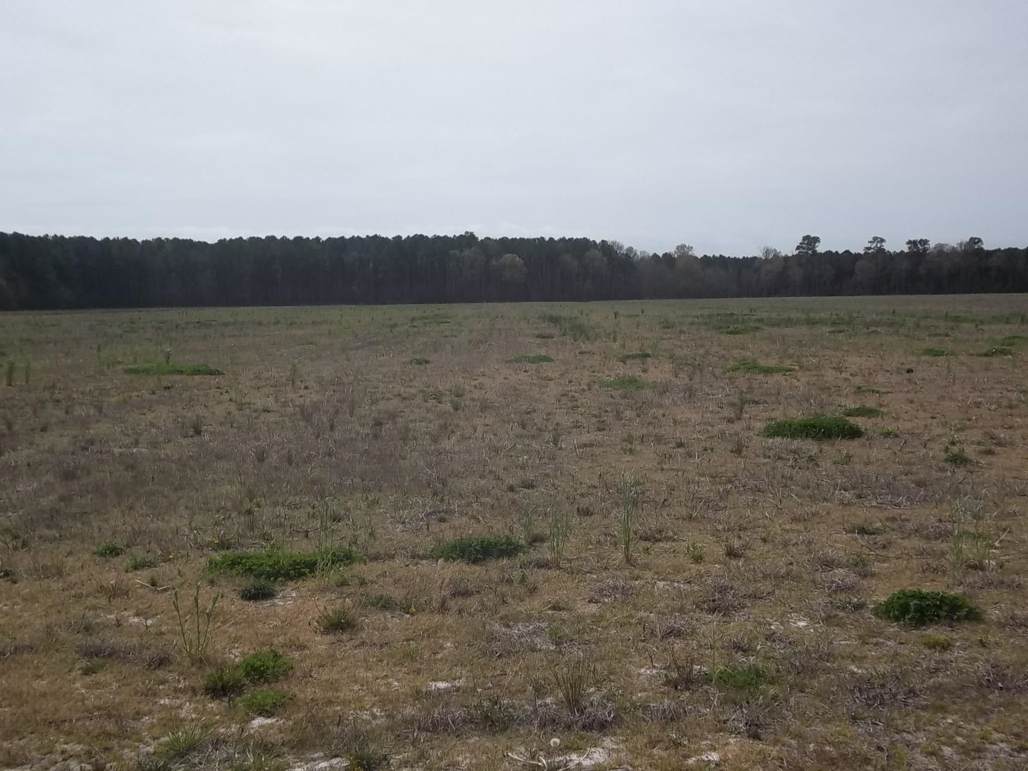1010 Griff Lane Lot #2