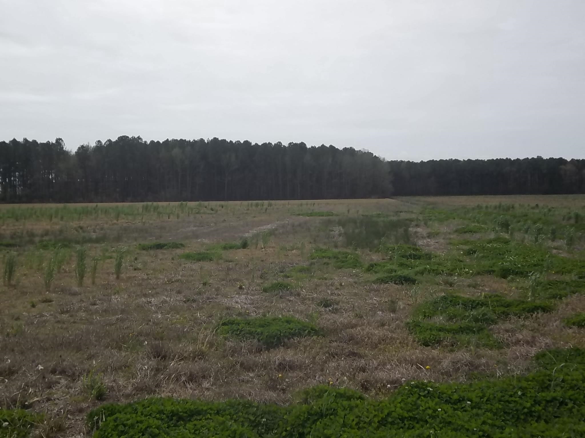 1000 Griff Lane Lot #1