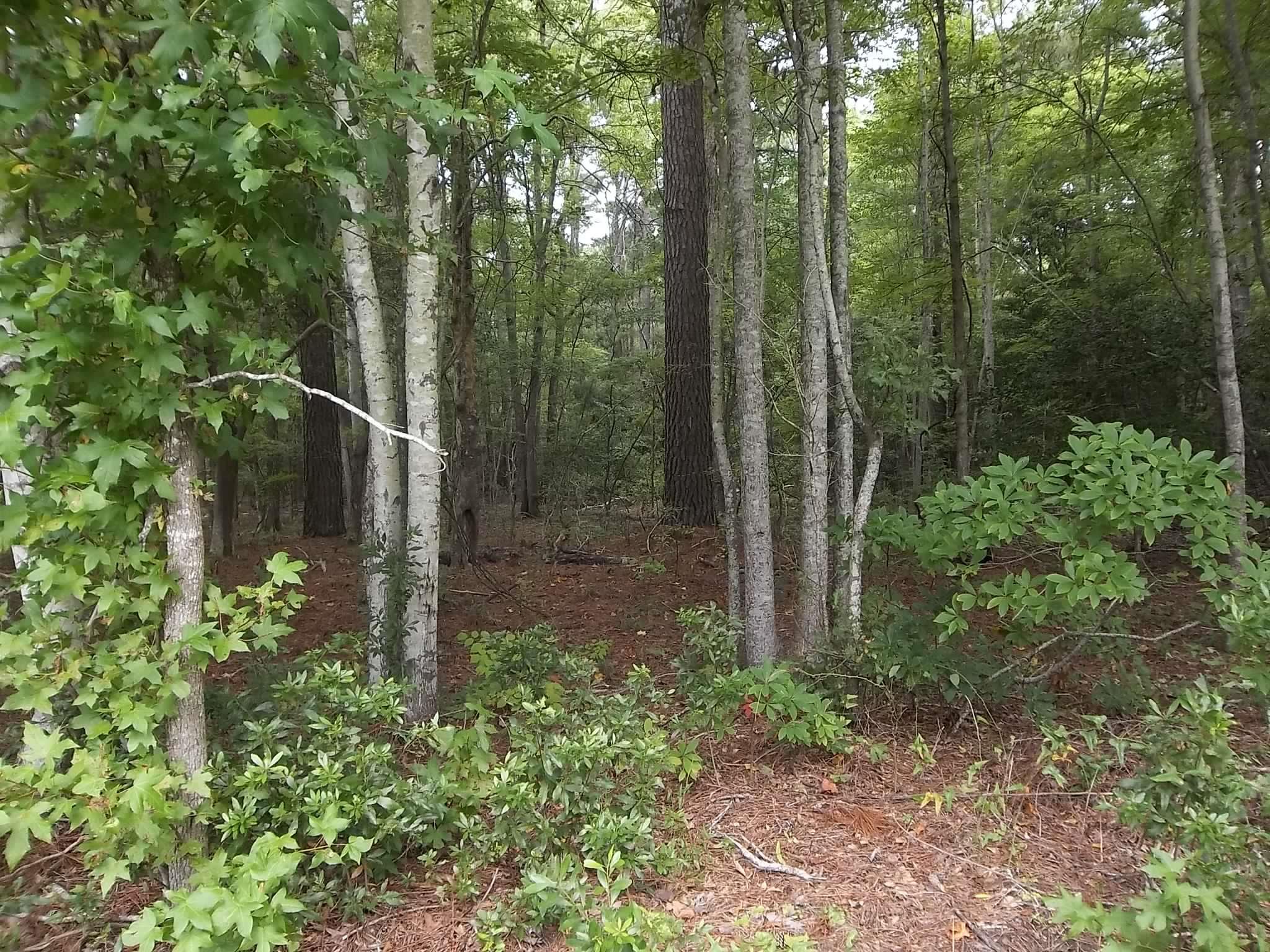 TBD N North River Landing Road Lot #B