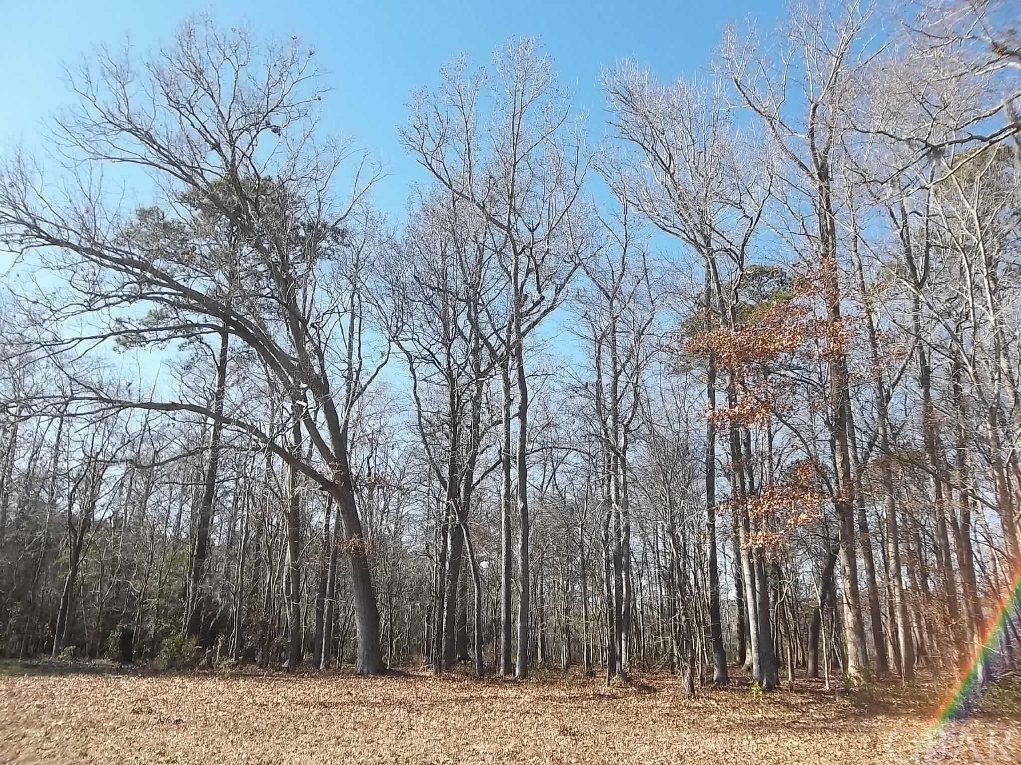 184 Dailey Road Lot#9