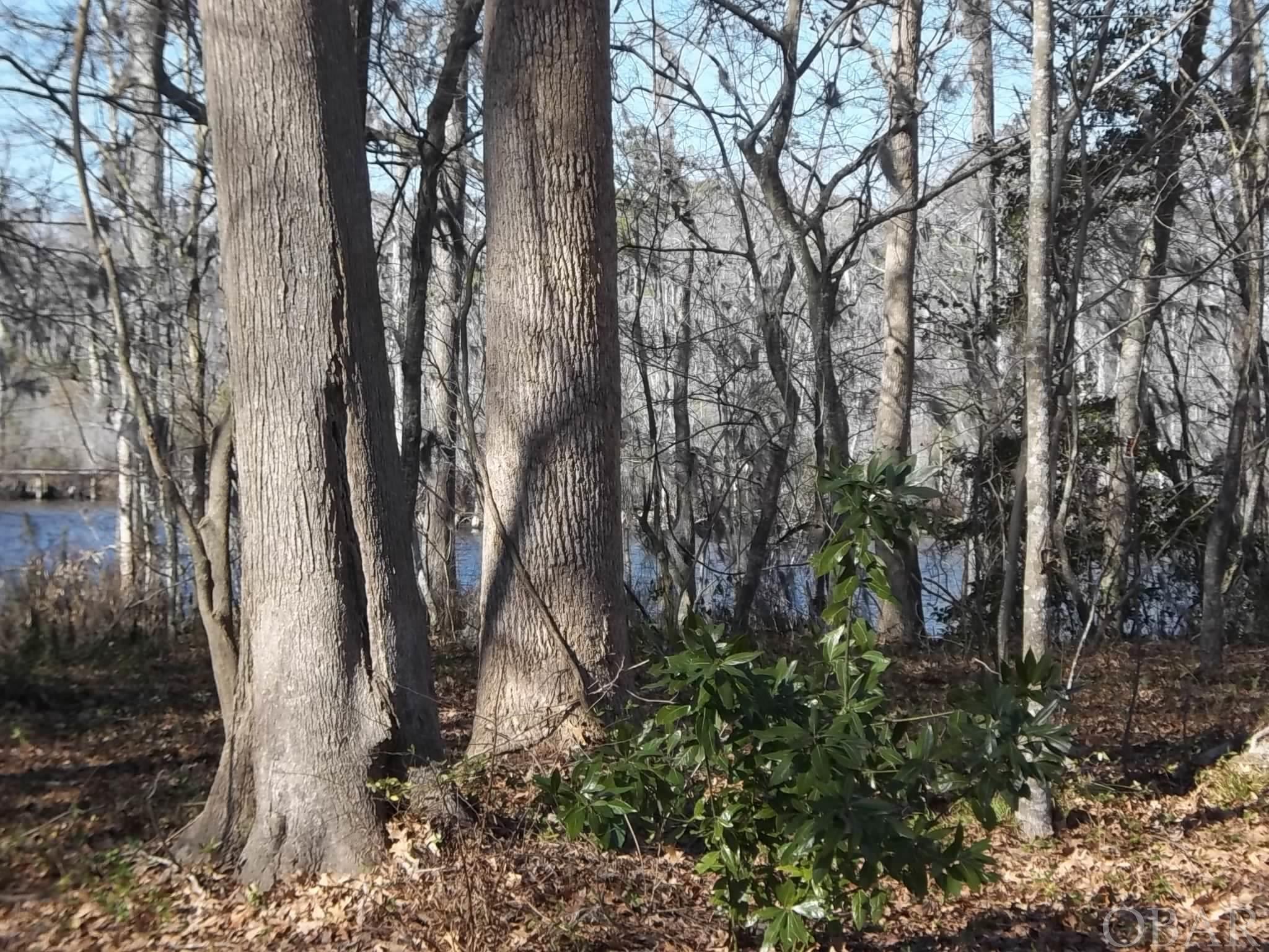 184 Dailey Road Lot#9