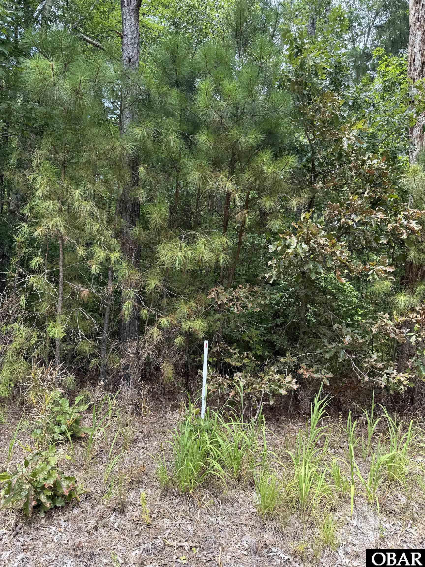 TBD Boat Ramp Road Lot 1