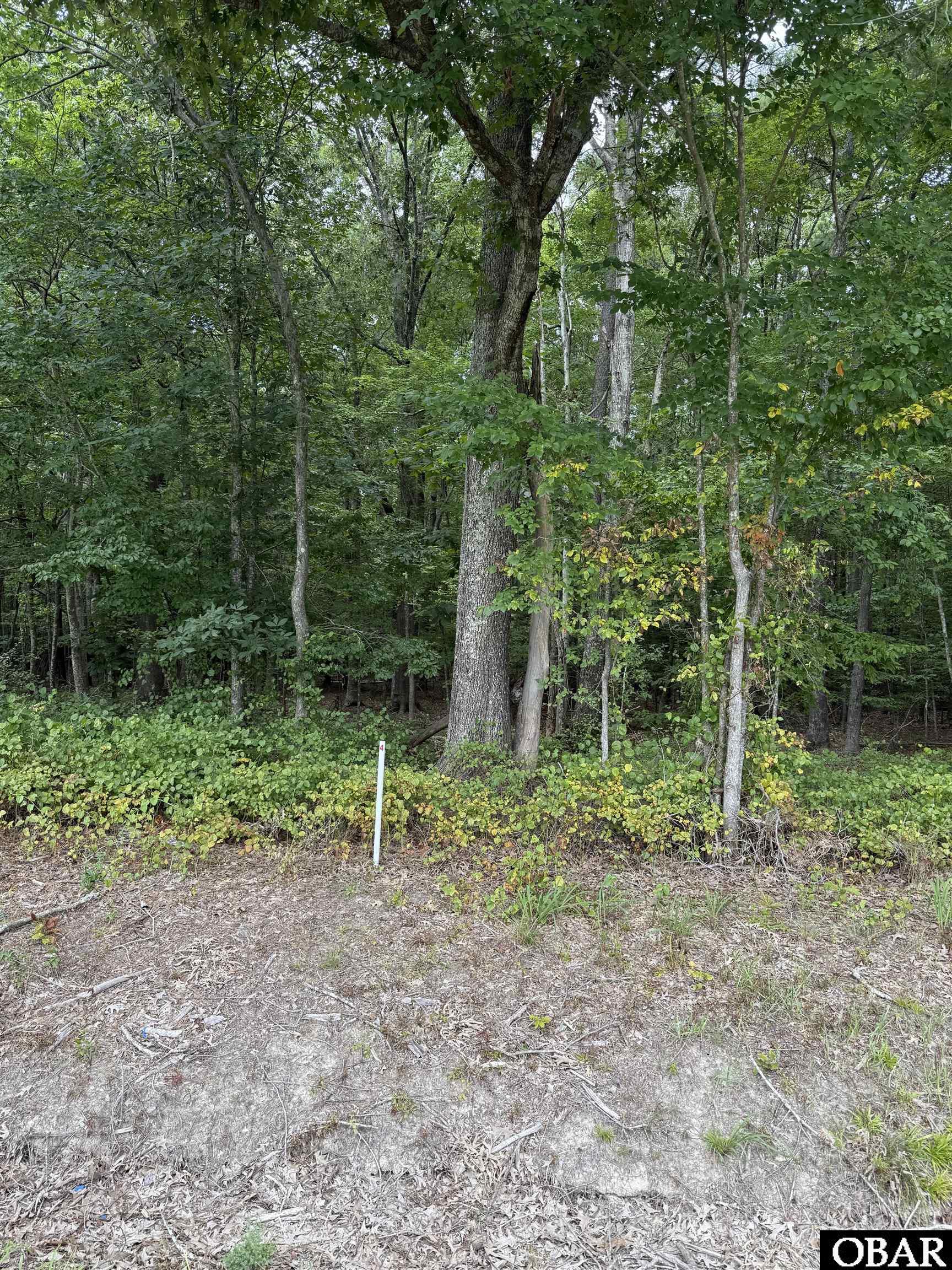 TBD Boat Ramp Road Lot 4