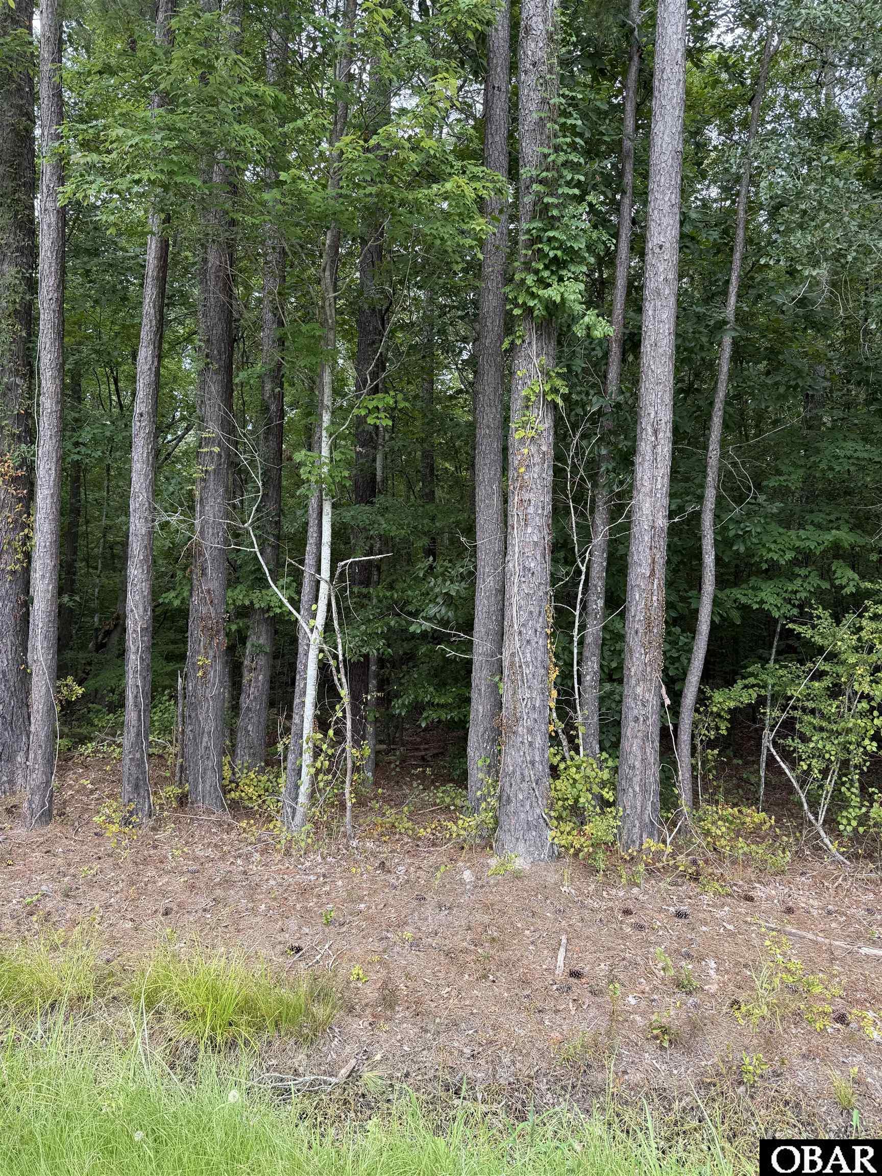 TBD Boat Ramp Road Lot 6
