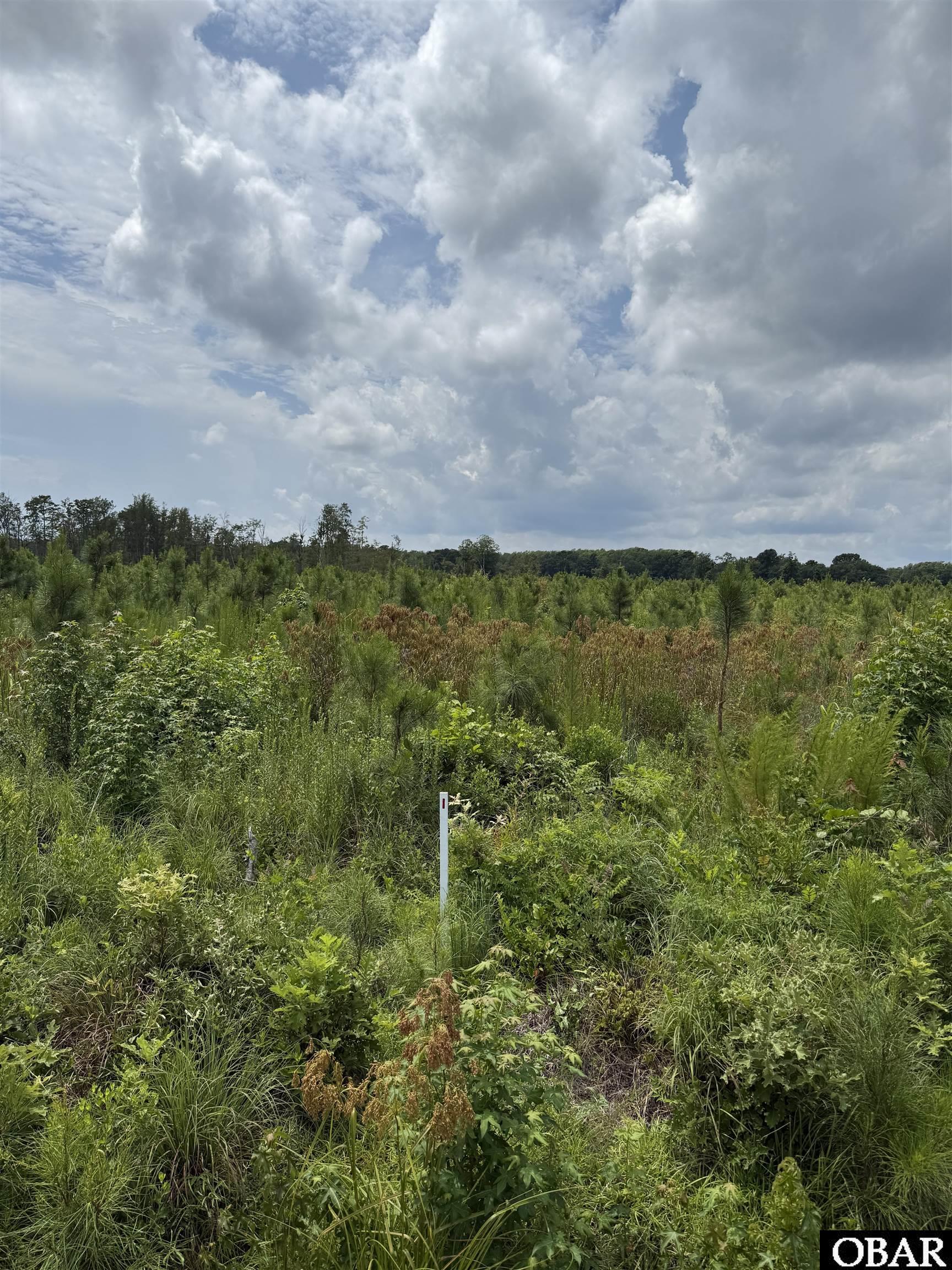TBD Cove Road Lot #2