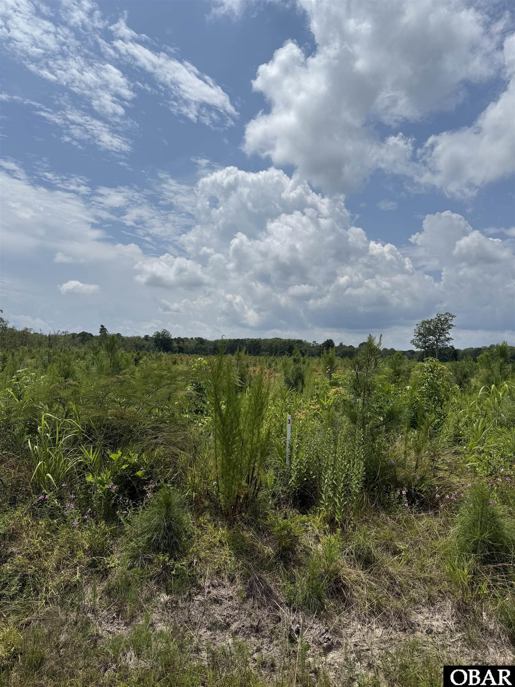 TBD Cove Road Lot #3