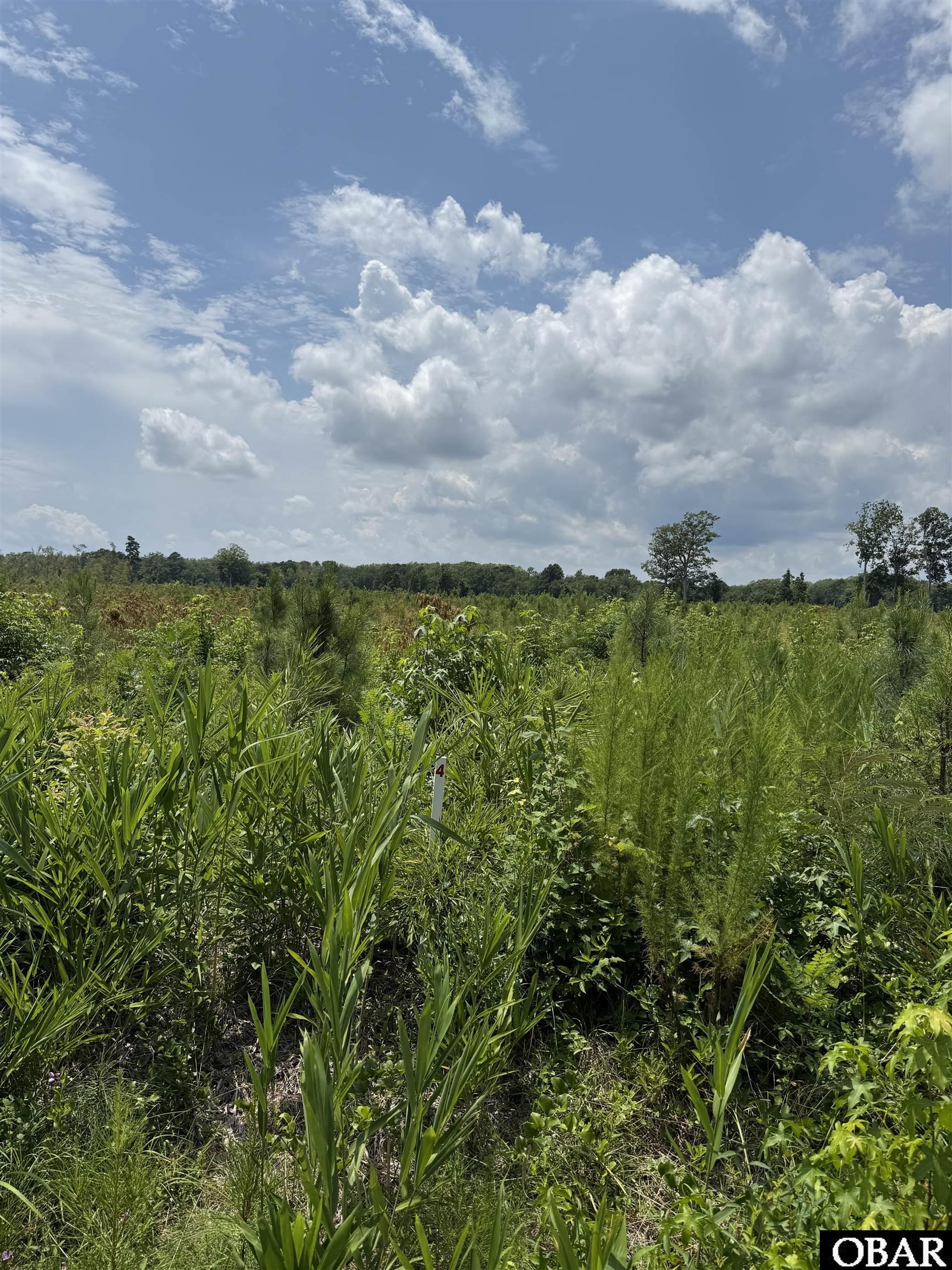 TBD Cove Road Lot #4