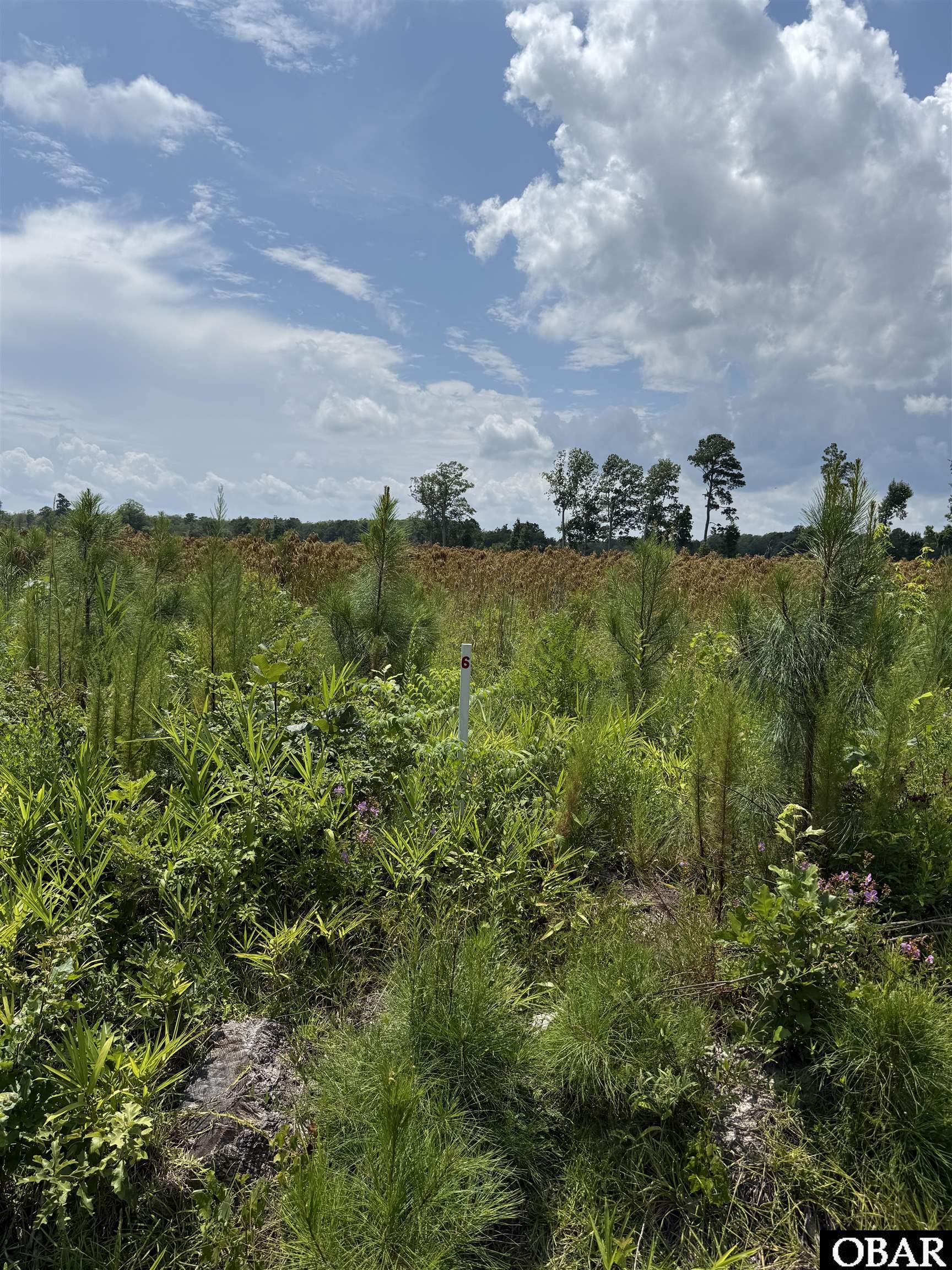 TBD Cove Road Lot #5