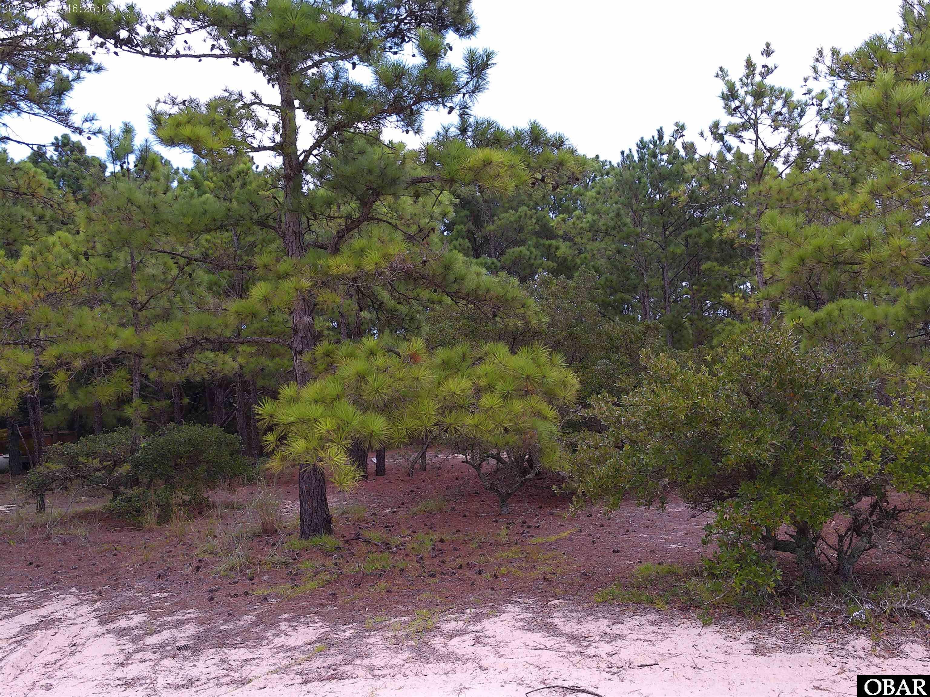 2327 False Cape Road Lot #14