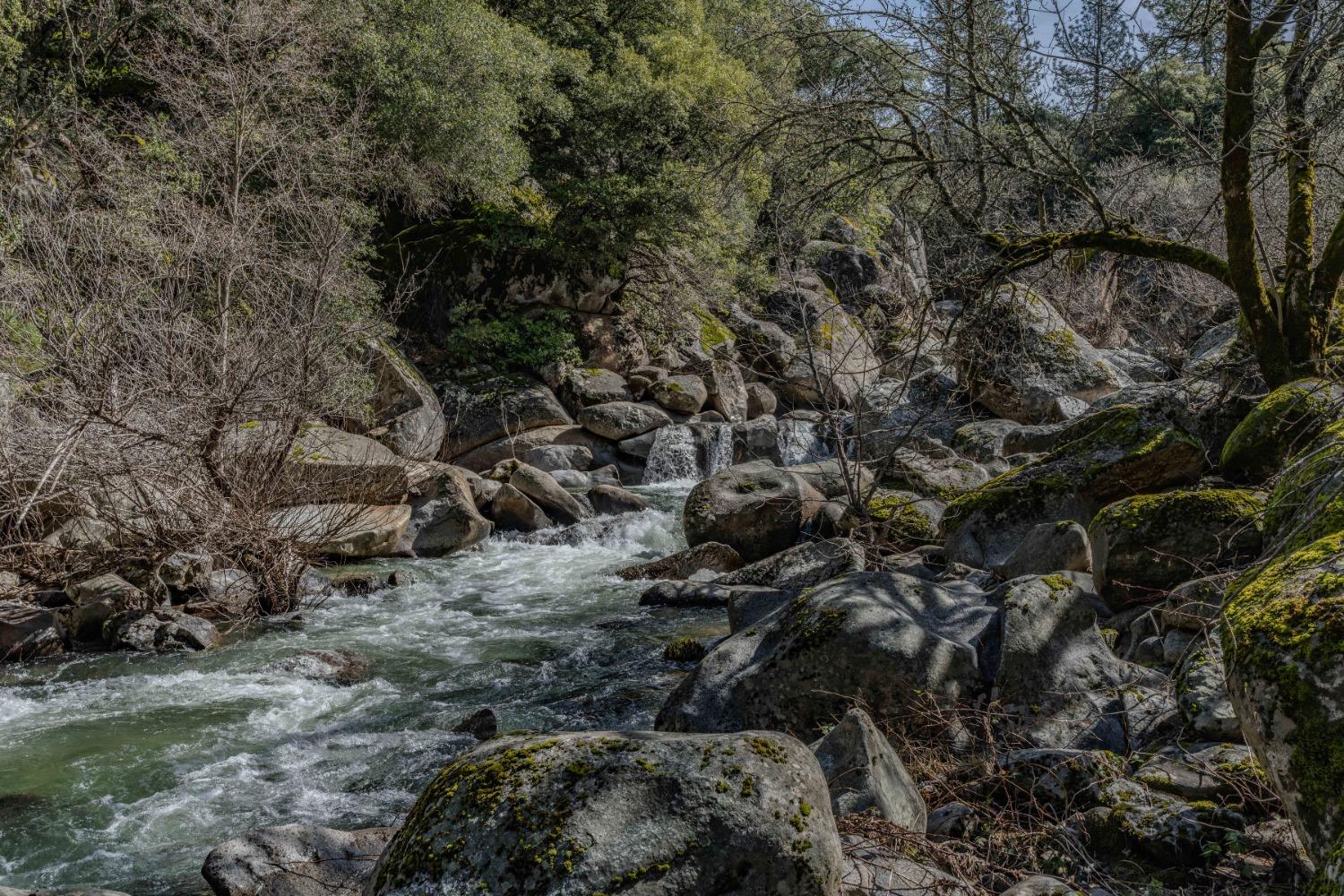 14575 Emigrant Trail