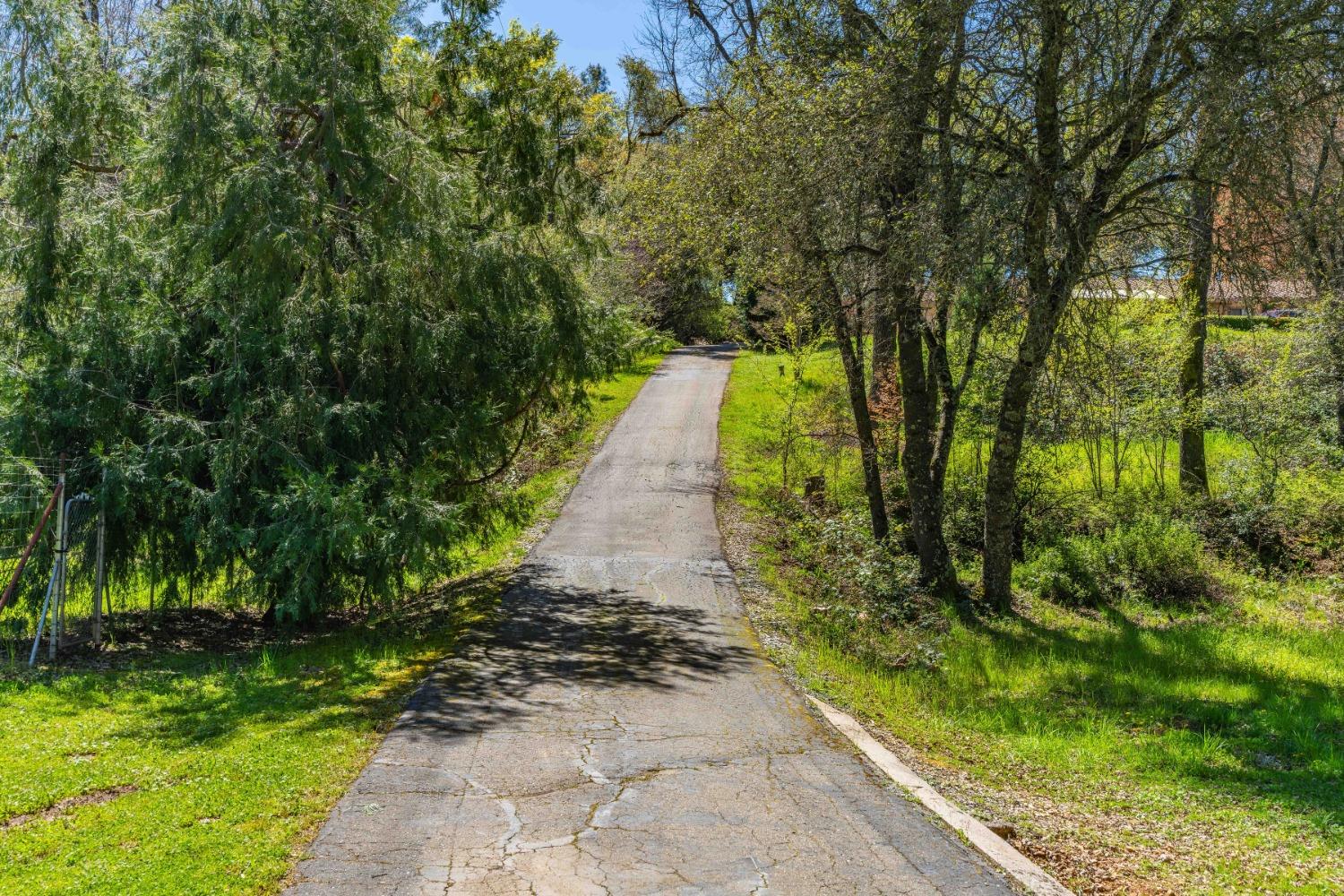 16800 Climax Road
