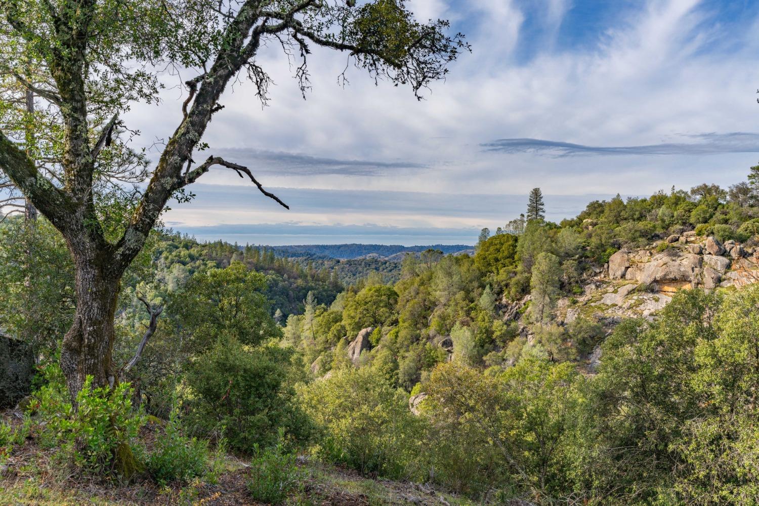 14475 Emigrant Trail