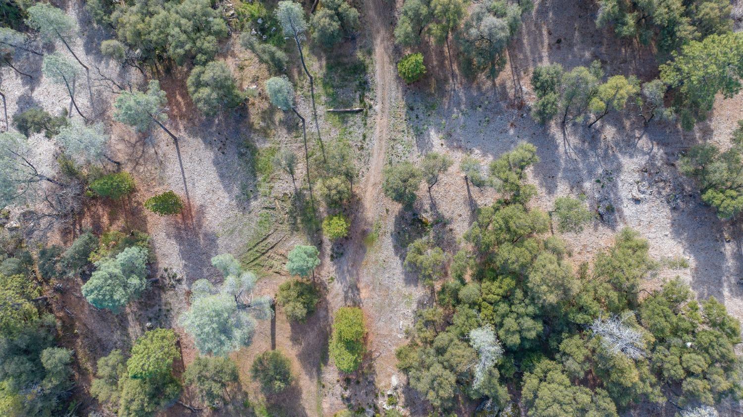 14475 Emigrant Trail