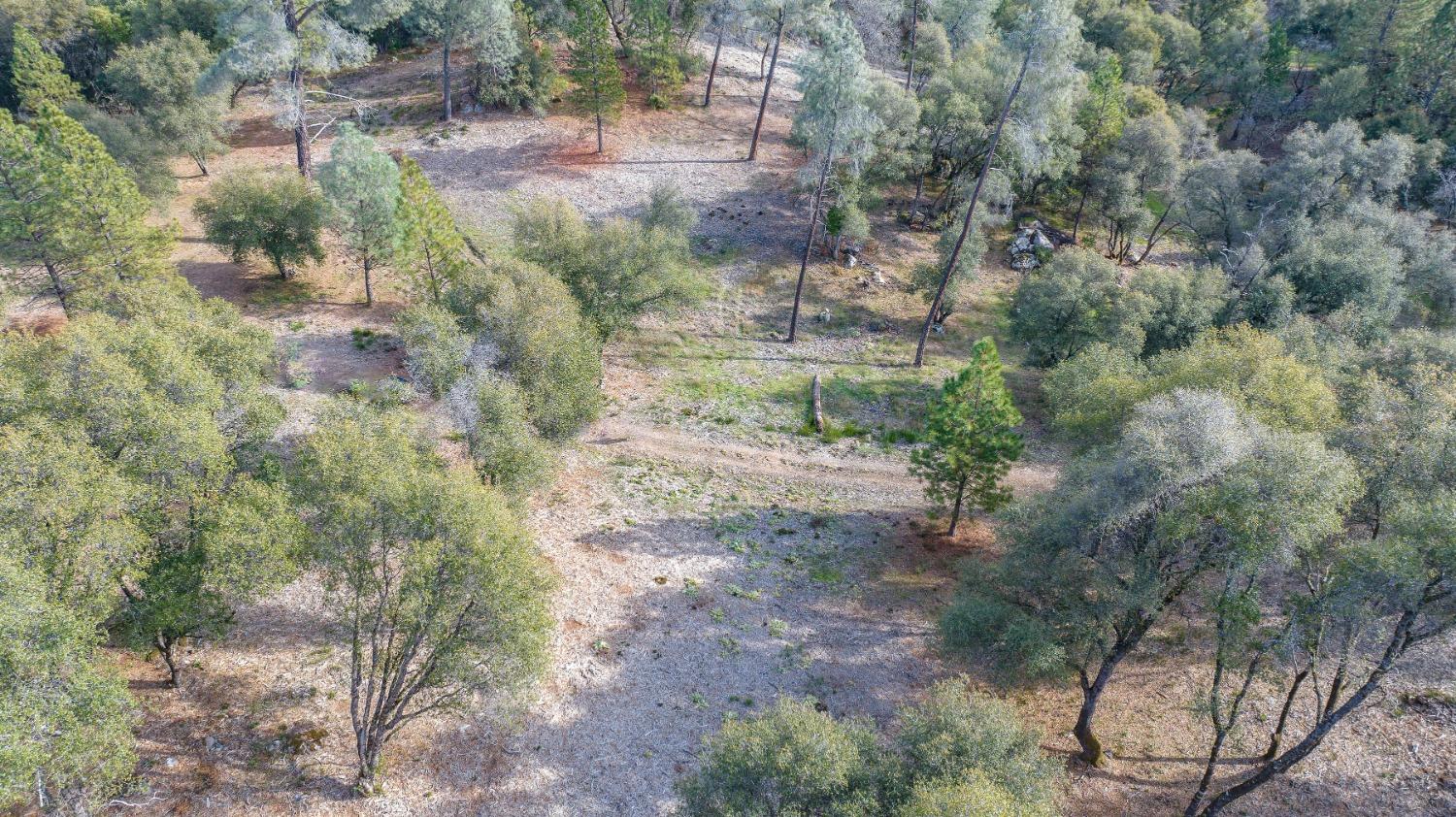 14475 Emigrant Trail