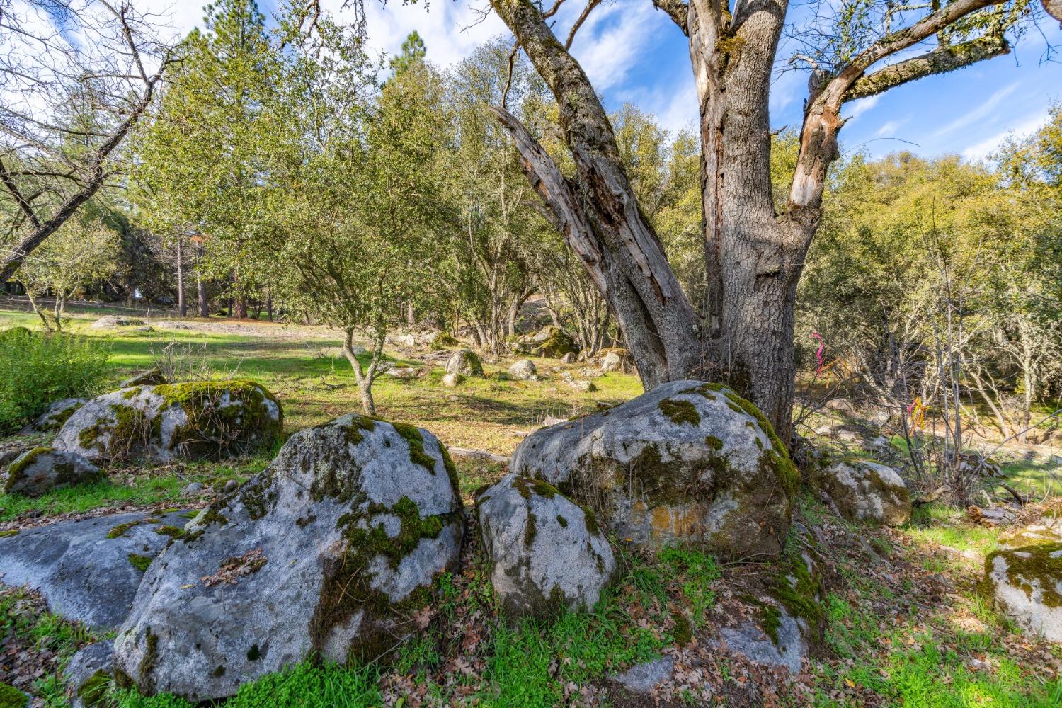 14475 Emigrant Trail