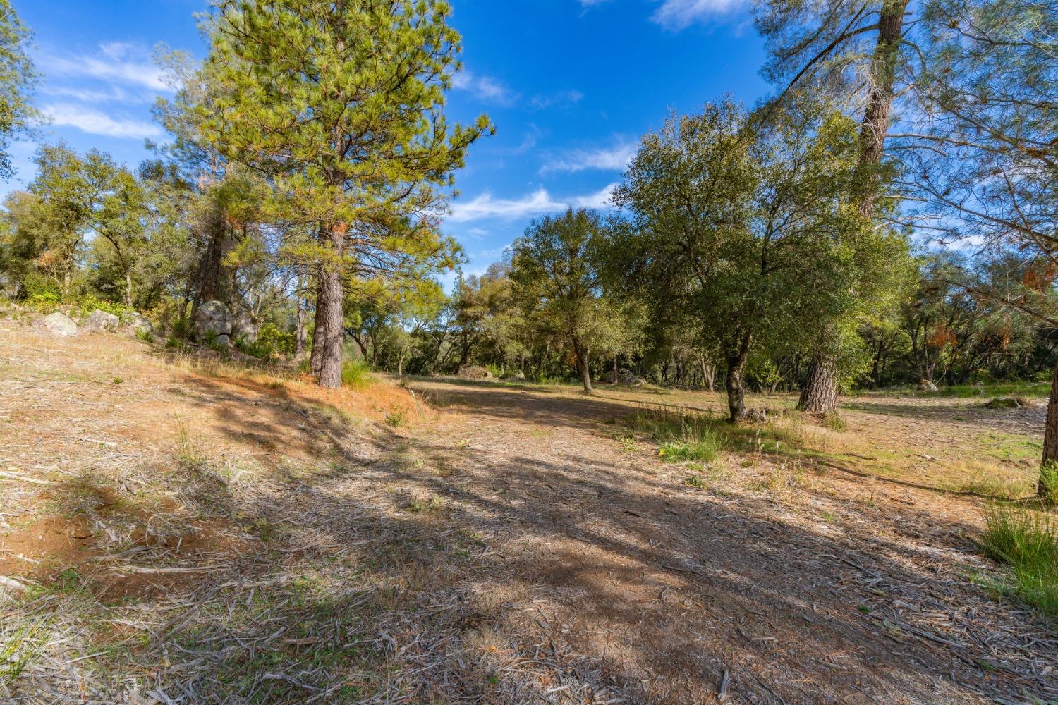 14475 Emigrant Trail