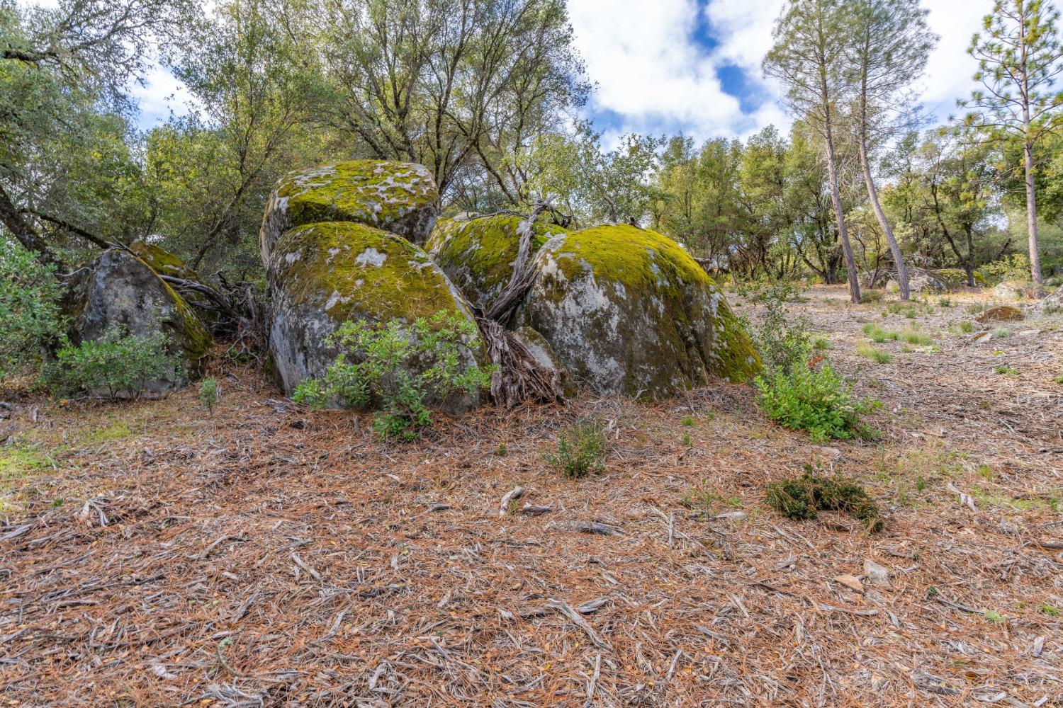 14475 Emigrant Trail