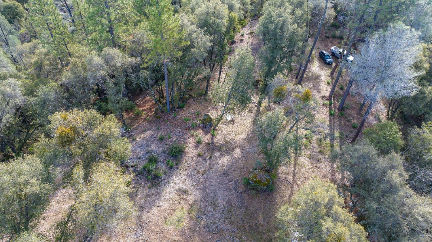 14475 Emigrant Trail