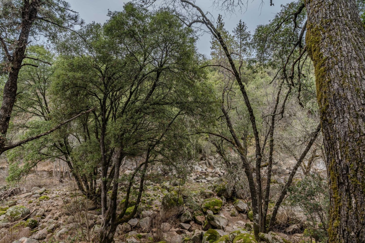 14583 Emigrant Trail