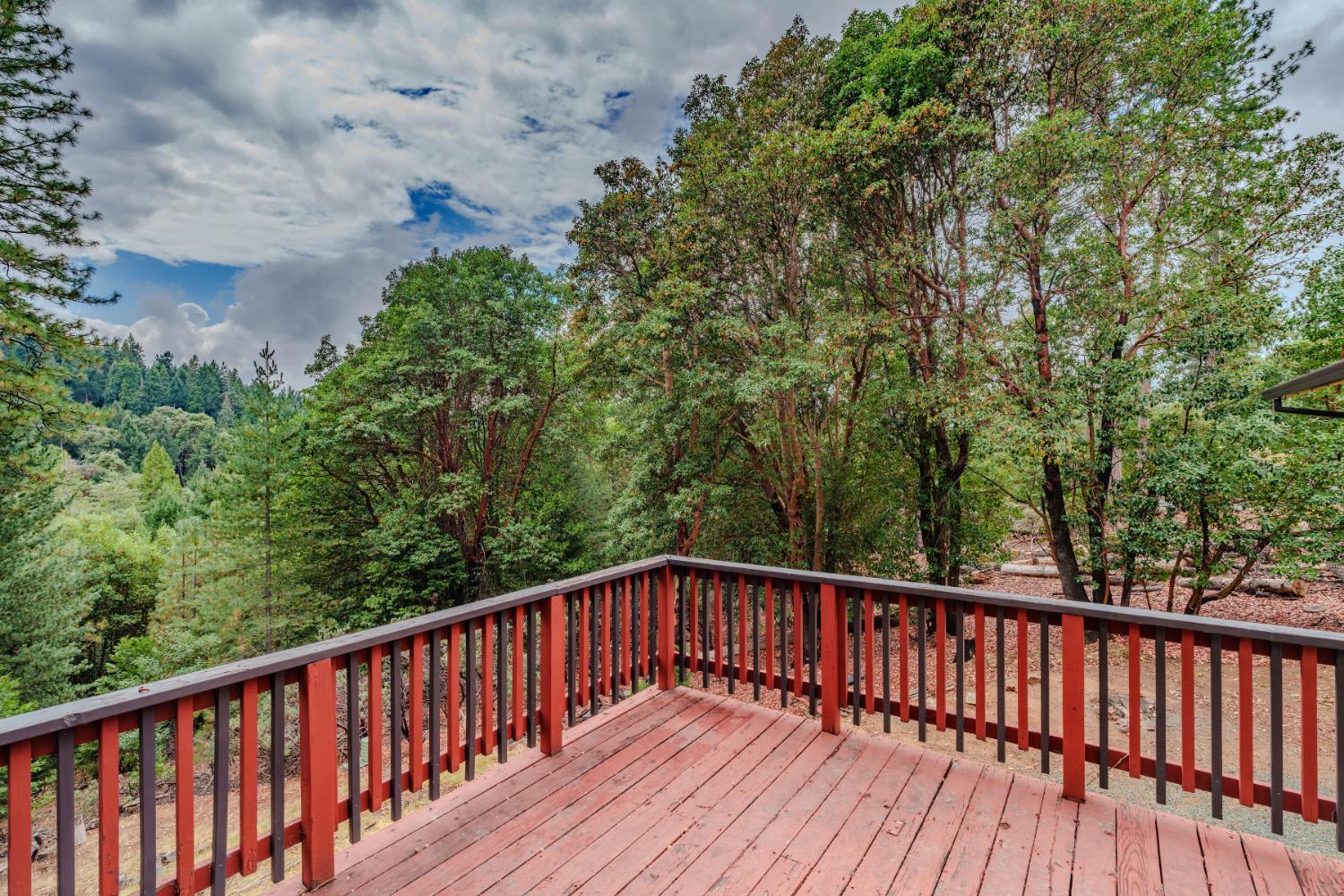 25504 Meadow Drive