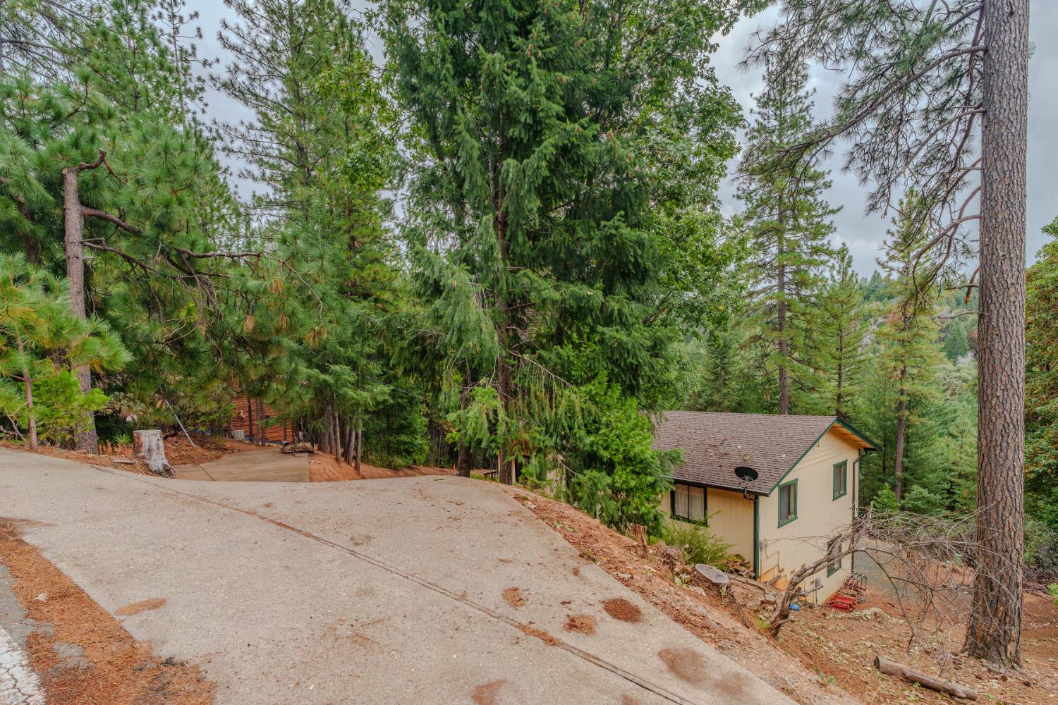 25504 Meadow Drive