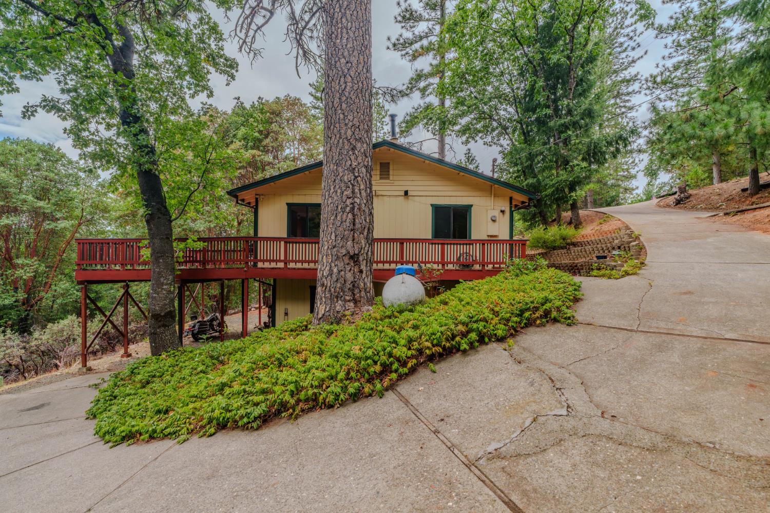 25504 Meadow Drive