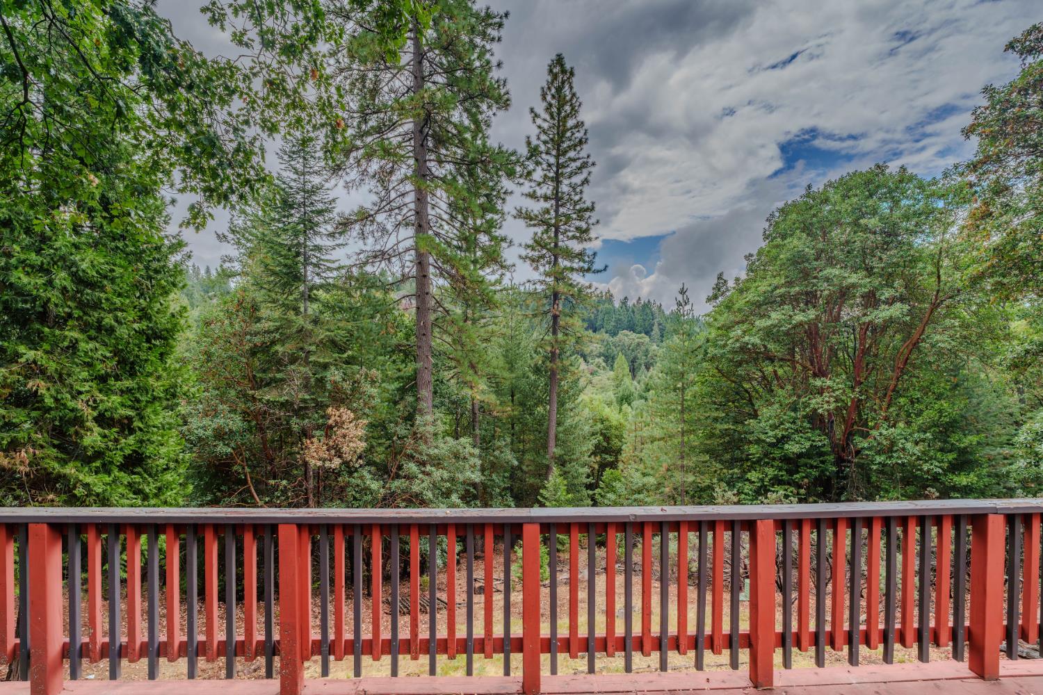 25504 Meadow Drive