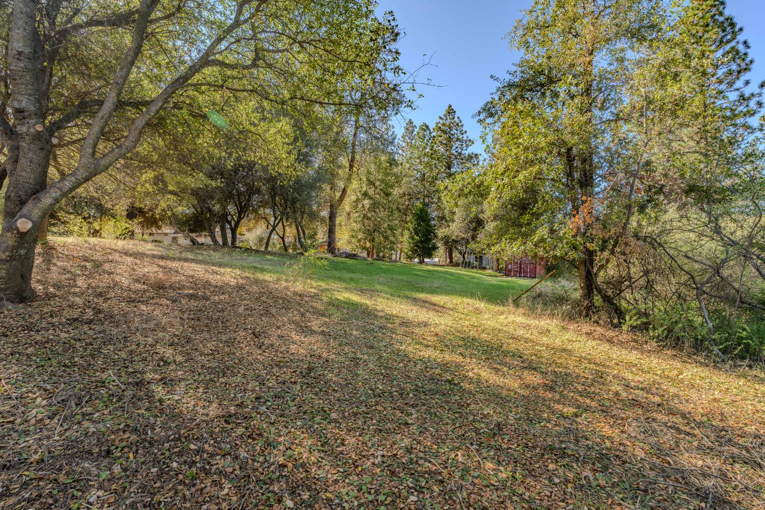 10705 Ranchette Drive