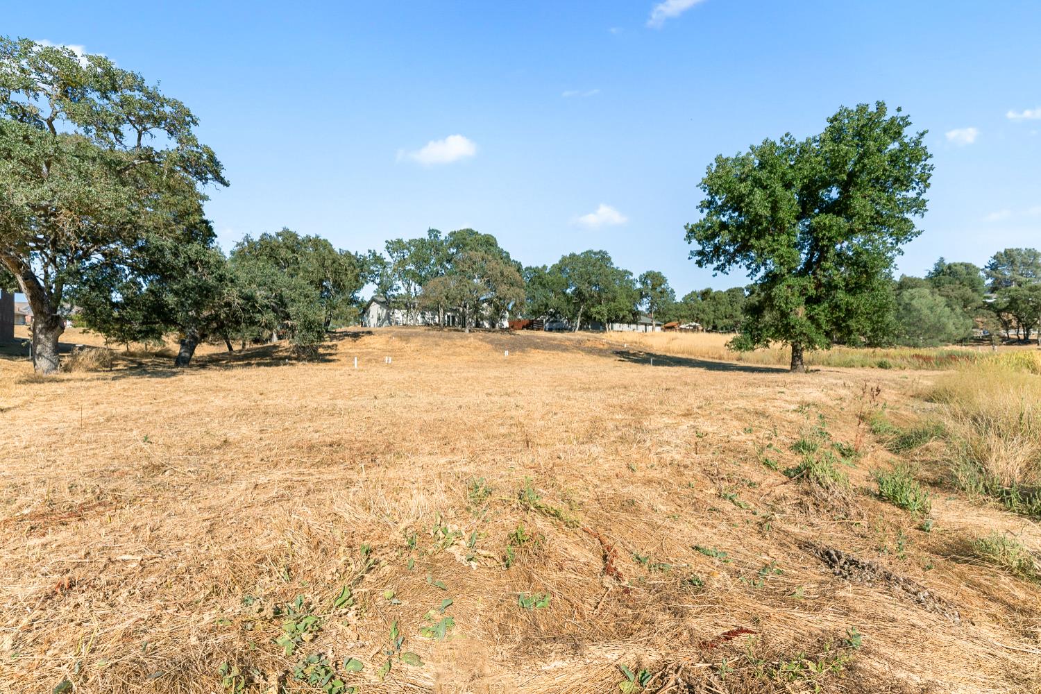 3357 Antonovich Road