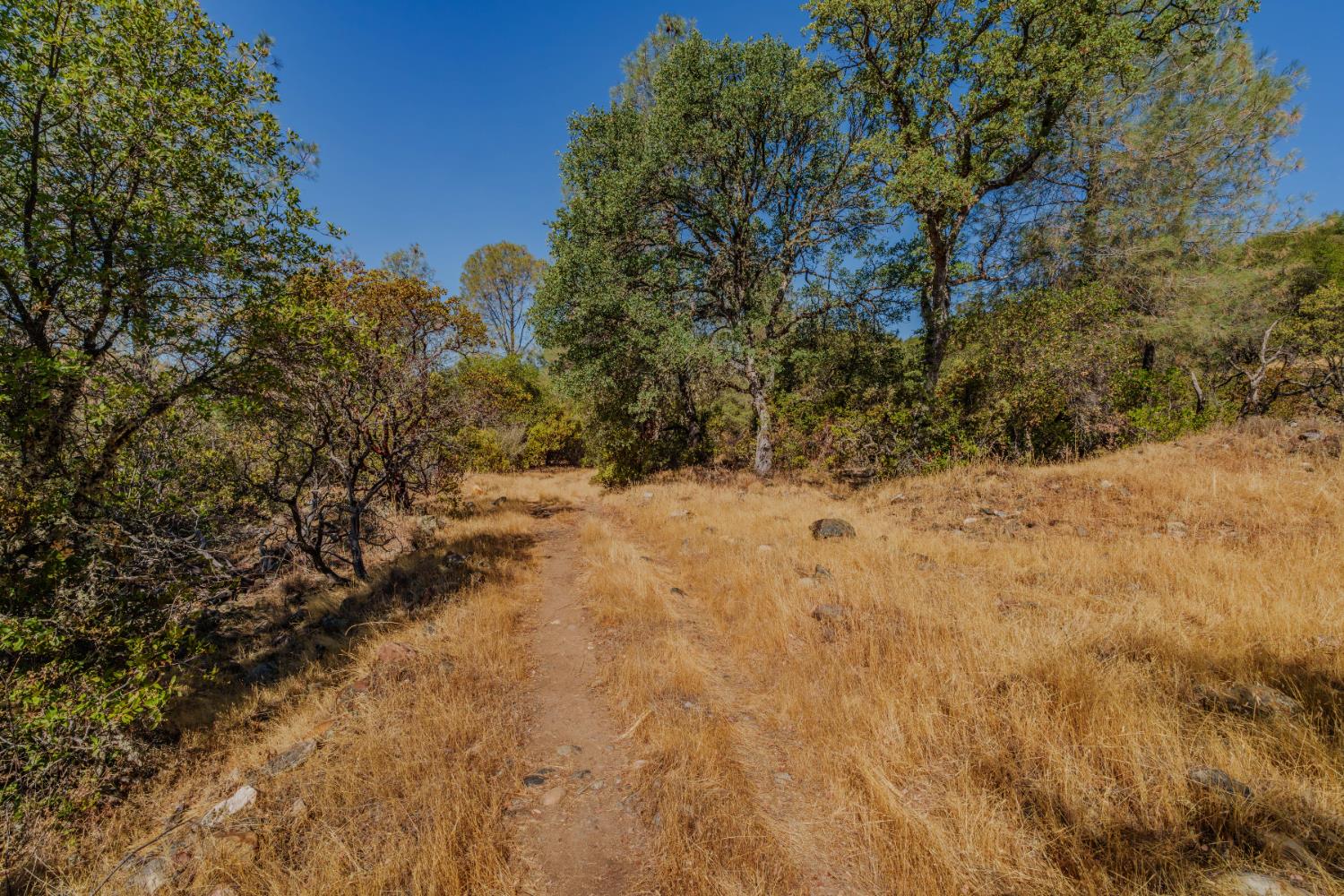 0 American Flat Road