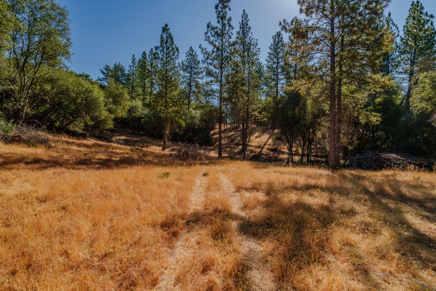 0 American Flat Road