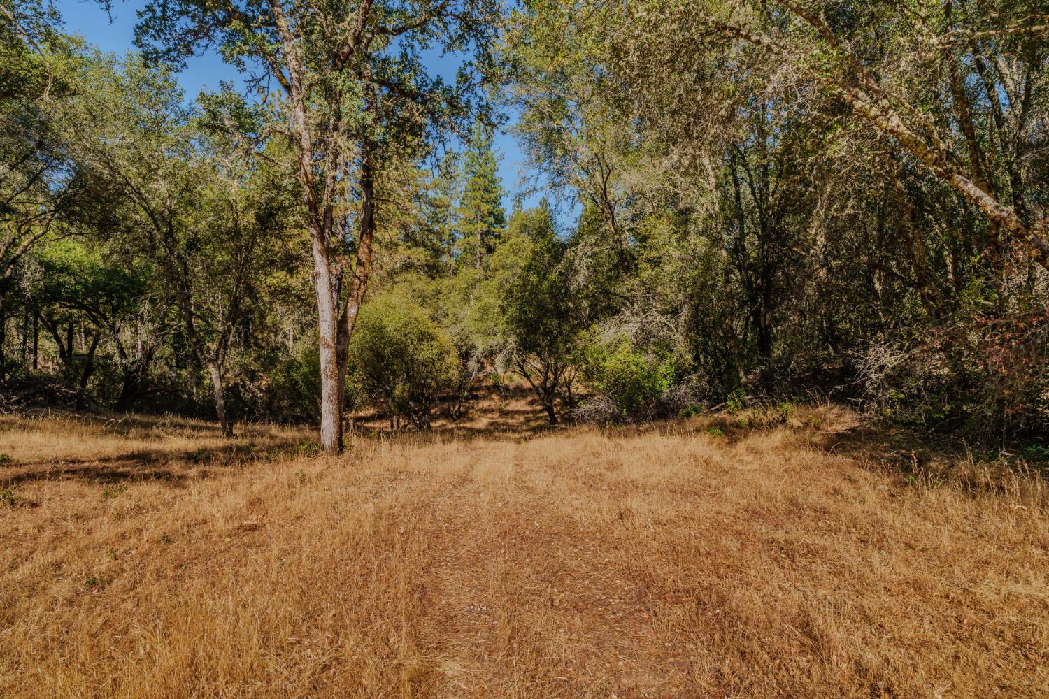 0 American Flat Road