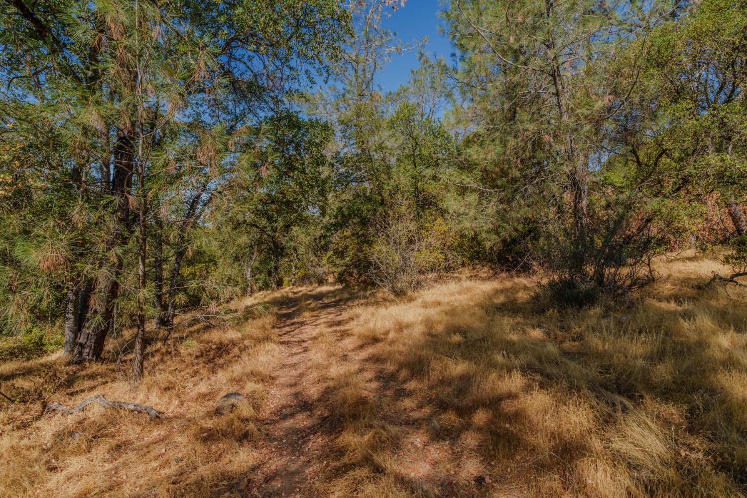 0 American Flat Road