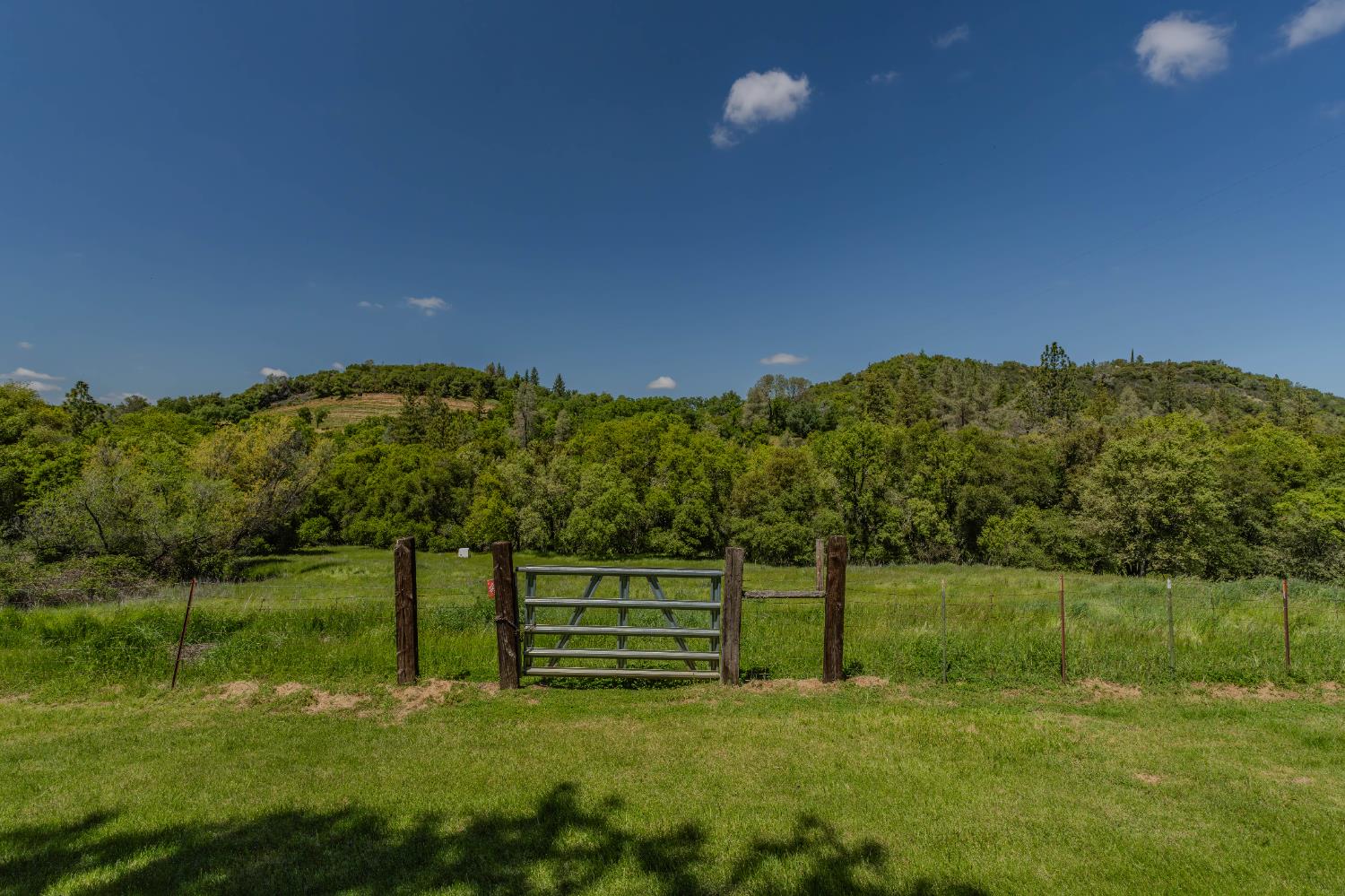 19160 American Flat Road