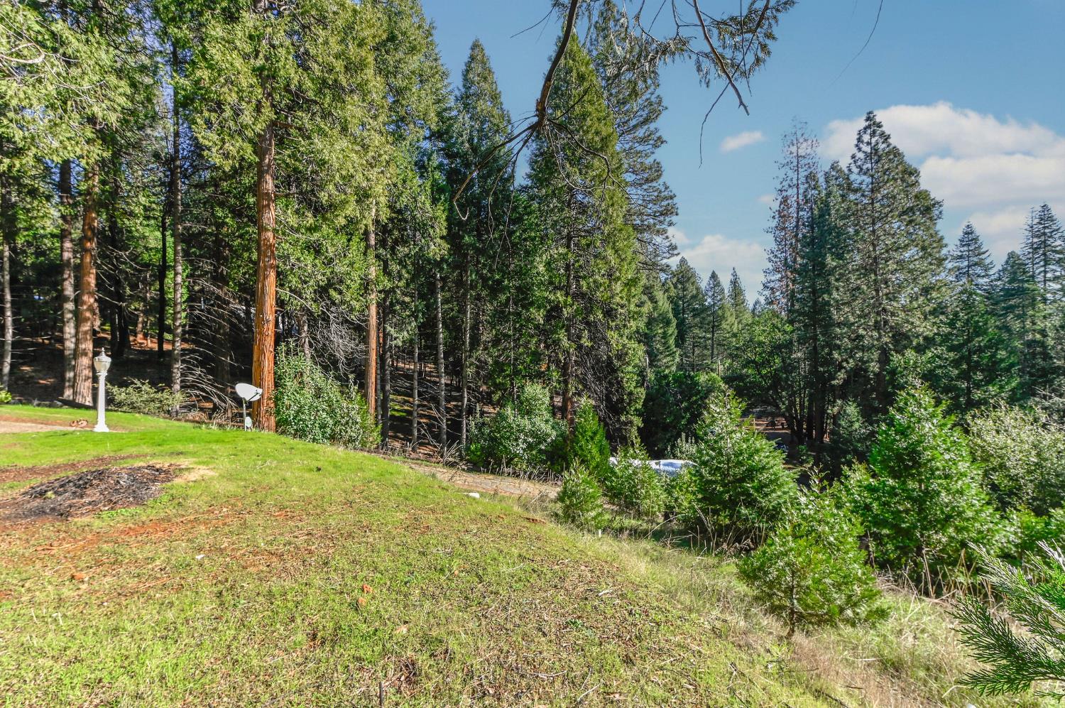 27095 Antelope Drive