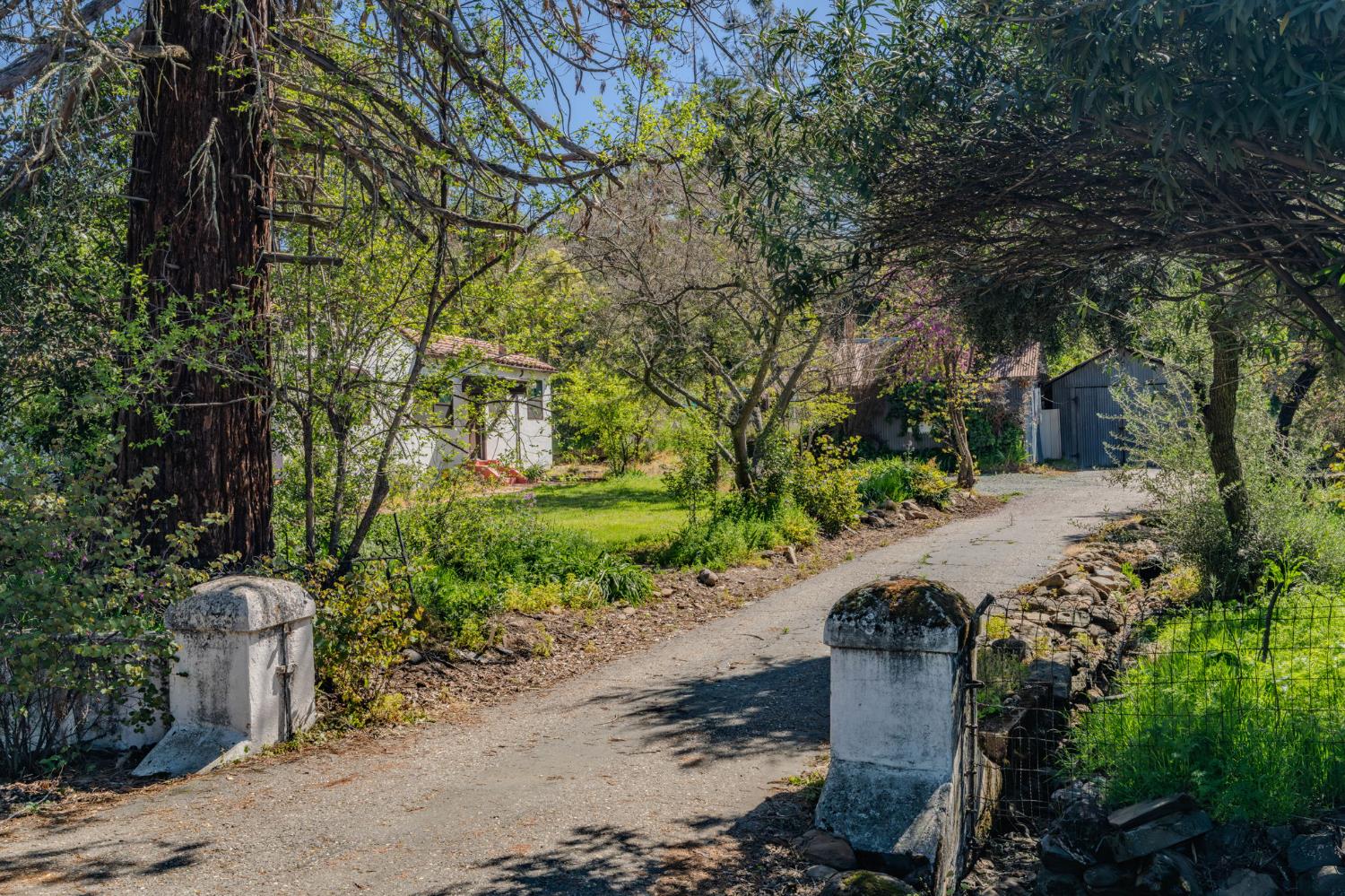 12280 Old Ridge Road