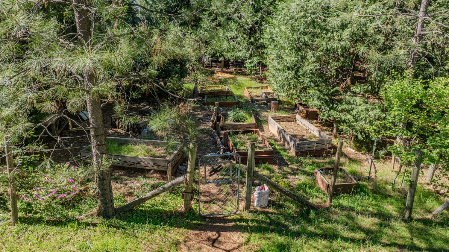 22401 Shake Ridge Road