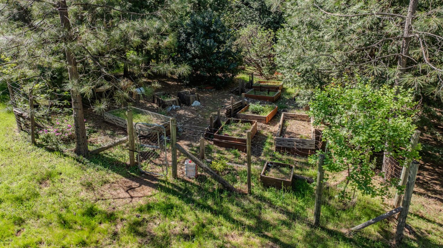 22401 Shake Ridge Road